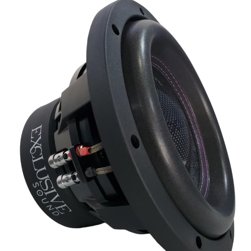 EXS P10.D4