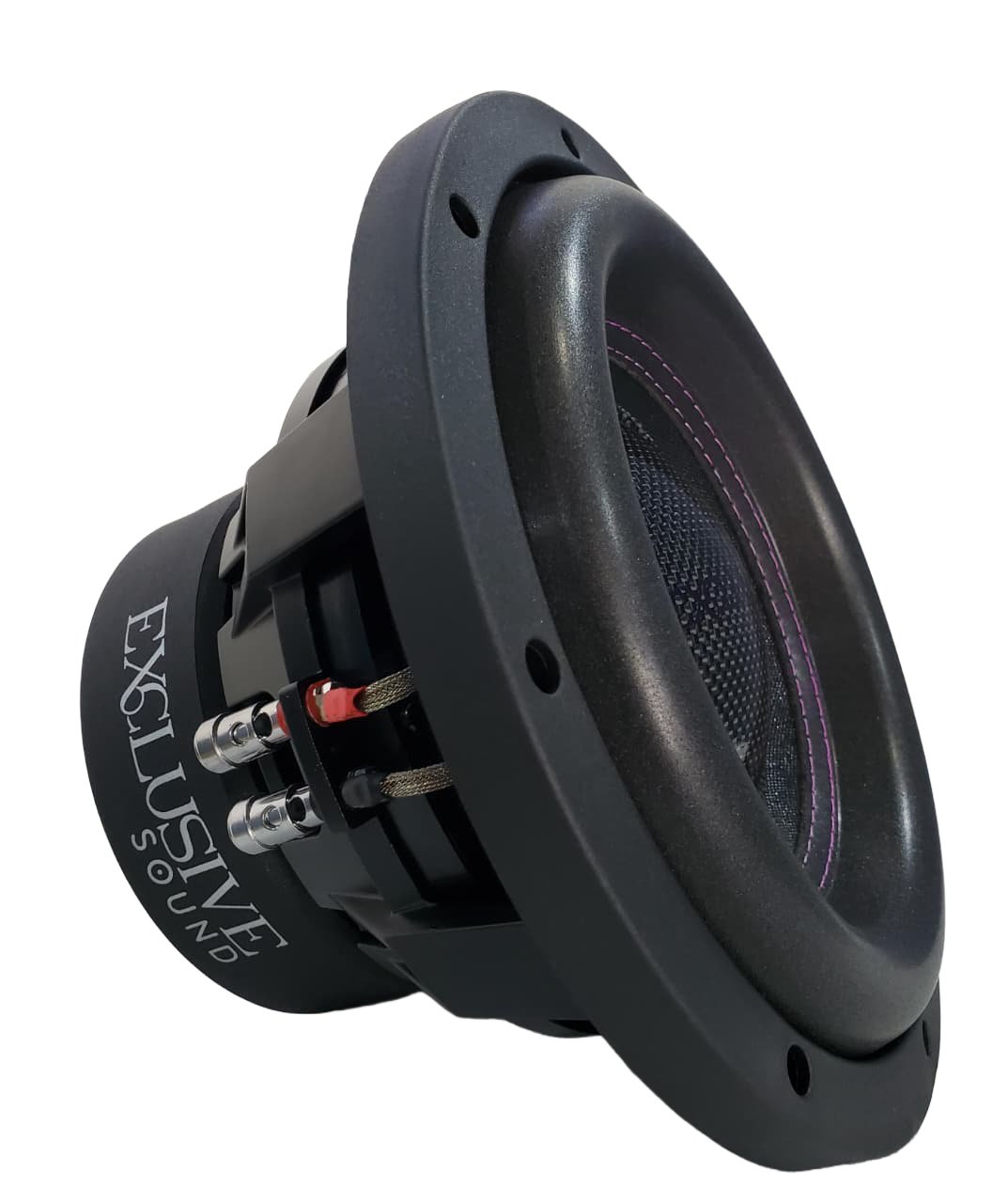 EXS P10.D4